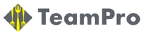 TeamPro Logo (EUIPO, 23.08.2021)