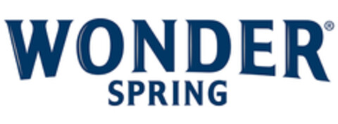 WONDER SPRING Logo (EUIPO, 10/12/2021)