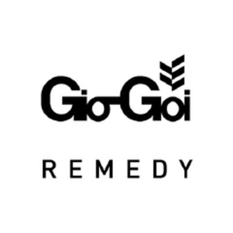 GIO-GOI REMEDY Logo (EUIPO, 11/18/2010)