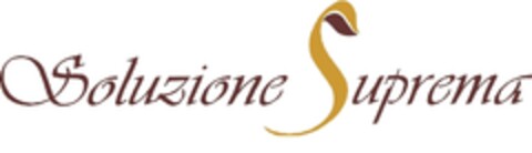 SOLUZIONE SUPREMA Logo (EUIPO, 11/03/2011)