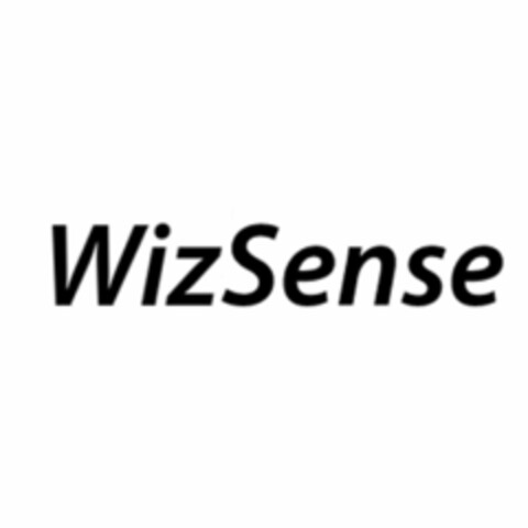 WIZSENSE Logo (EUIPO, 01/21/2020)