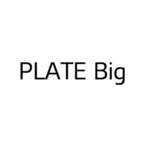 PLATE Big Logo (EUIPO, 07/21/2021)