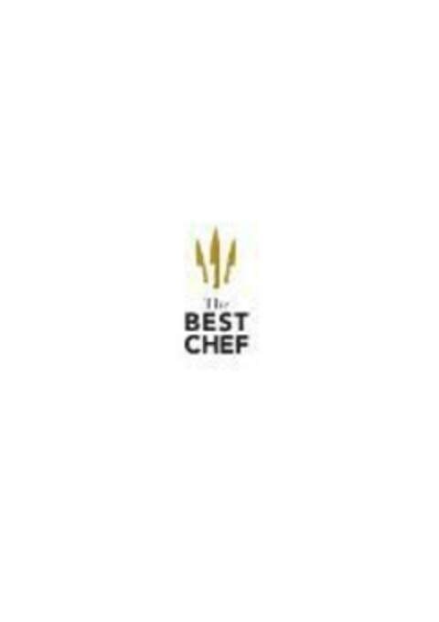 The Best Chef Logo (EUIPO, 06.06.2022)