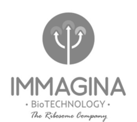 IMMAGINA BioTECHNOLOGY The Ribosome Company Logo (EUIPO, 07/13/2022)