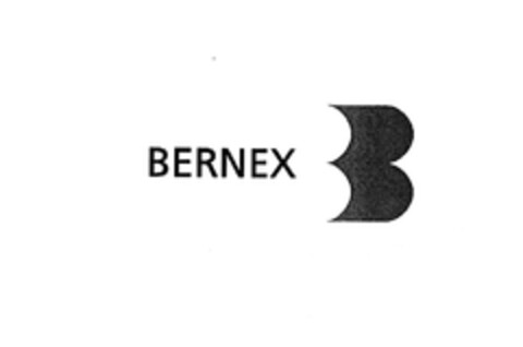 BERNEX Logo (EUIPO, 10.05.2004)