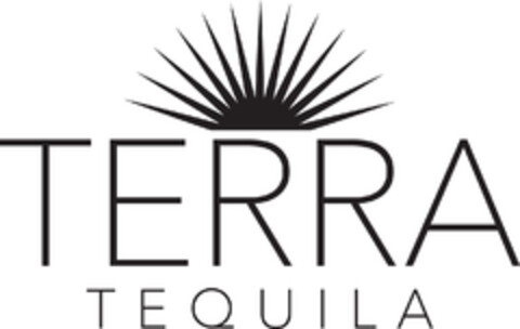 TERRA TEQUILA Logo (EUIPO, 20.07.2017)