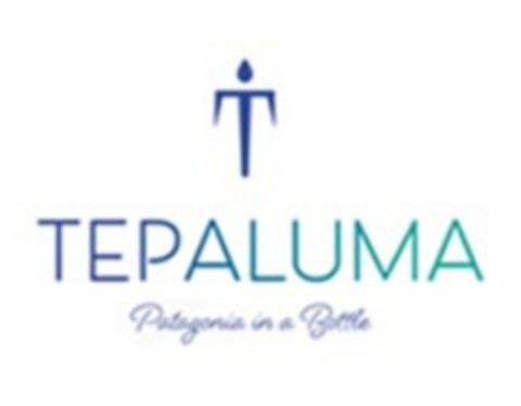 T Tepaluma Patagonia in a Bottle Logo (EUIPO, 08/26/2020)