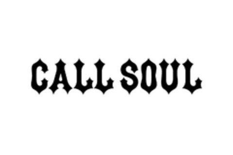 callsoul Logo (EUIPO, 22.03.2024)