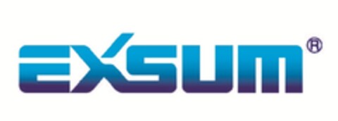 EXSUM Logo (EUIPO, 10.01.2011)