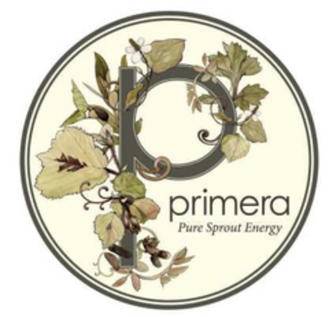 p primera Pure Sprout Energy Logo (EUIPO, 08/07/2014)