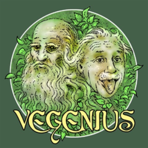 VEGENIUS Logo (EUIPO, 11/23/2017)