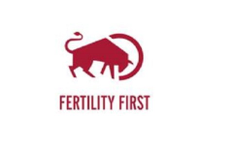 FERTILITY FIRST Logo (EUIPO, 29.03.2019)