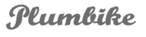 Plumbike Logo (EUIPO, 19.02.2020)