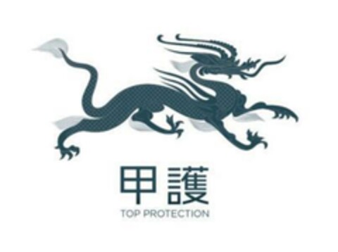TOP PROTECTION Logo (EUIPO, 07.05.2020)