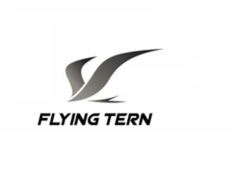 FLYING TERN Logo (EUIPO, 04.08.2020)