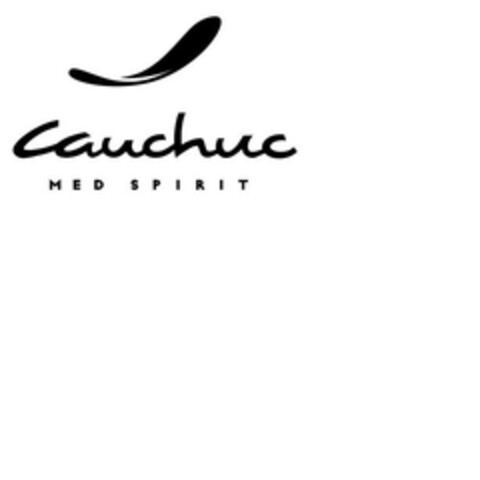 cauchuc MED SPIRIT Logo (EUIPO, 10/31/2007)