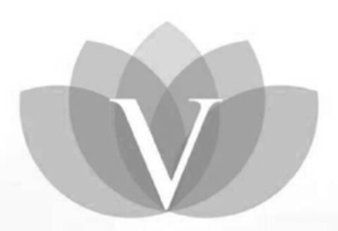 "V" Logo (EUIPO, 30.10.2012)