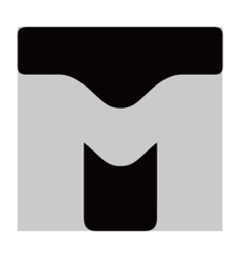 T M Logo (EUIPO, 01/27/2022)