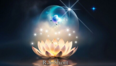 R.S - Short Logo (EUIPO, 15.12.2023)