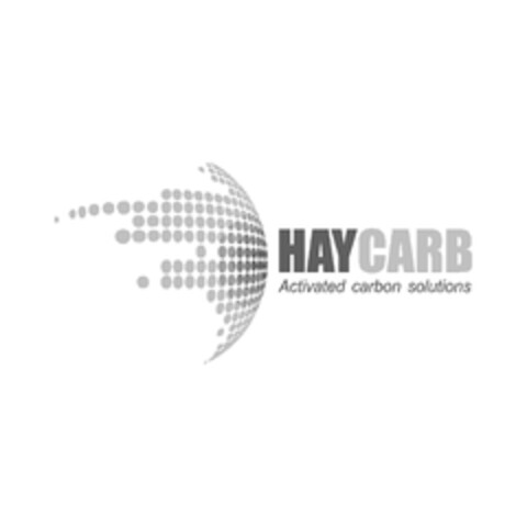 HAYCARB Activated carbon solutions Logo (EUIPO, 14.05.2024)