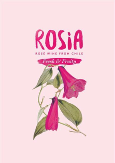 ROSiA ROSÉ WINE FROM CHILE Fresh & Fruity Logo (EUIPO, 24.03.2020)