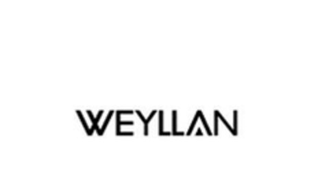 WEYLLAN Logo (EUIPO, 09/19/2023)