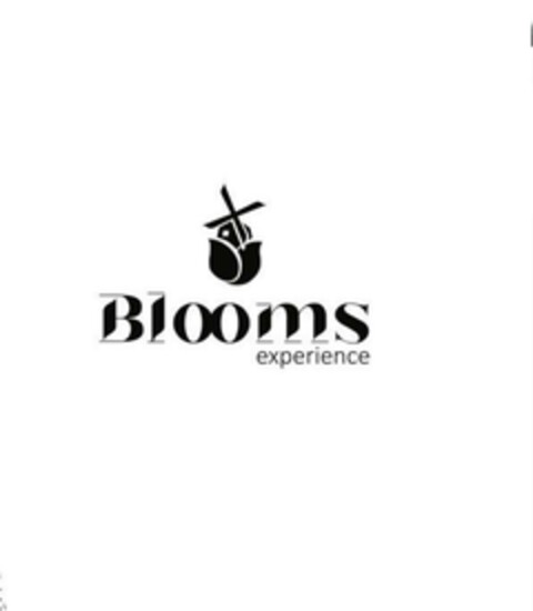 Blooms experience Logo (EUIPO, 06/18/2024)