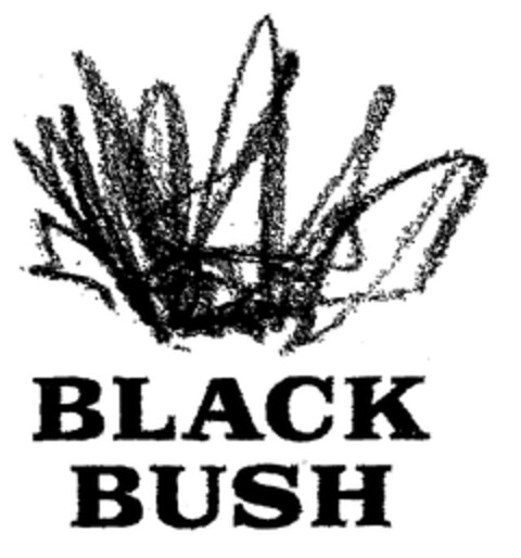 BLACK BUSH Logo (EUIPO, 19.08.1999)