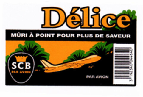 Délice MÛRI À POINT POUR PLUS DE SAVEUR SCB PAR AVION PAR AVION Logo (EUIPO, 07/18/2002)