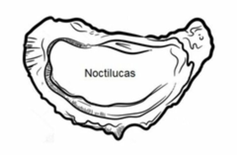 NOCTILUCAS Logo (EUIPO, 22.12.2017)