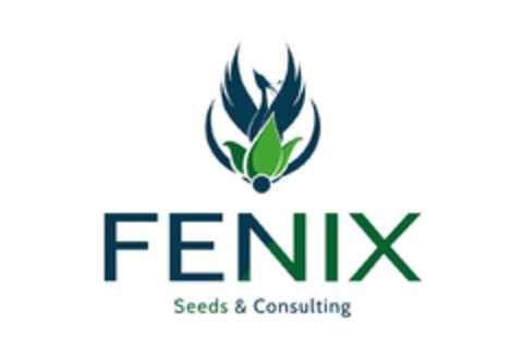 Fenix seeds & consulting Logo (EUIPO, 08.08.2022)