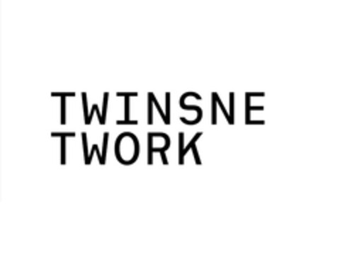 TWINSNETWORK Logo (EUIPO, 08.11.2018)