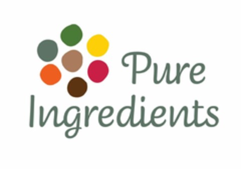 PURE INGREDIENTS Logo (EUIPO, 02/09/2017)
