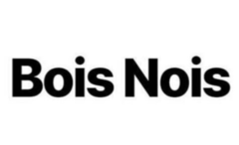 Bois Nois Logo (EUIPO, 05.06.2020)