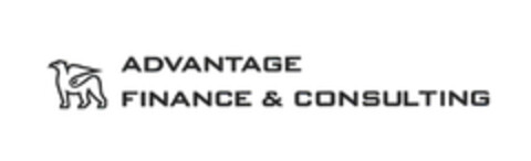 ADVANTAGE FINANCE & CONSULTING Logo (EUIPO, 09/19/2006)