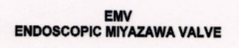 EMV
ENDOSCOPIC MIYAZAWA VALVE Logo (EUIPO, 02.01.2008)