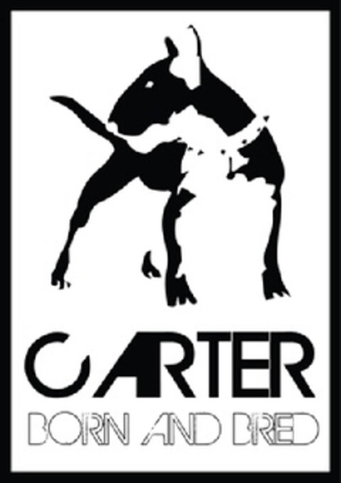 CARTER BORN AND BRED Logo (EUIPO, 07/10/2013)