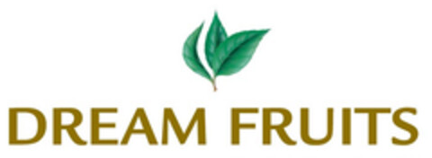 DREAM FRUITS Logo (EUIPO, 03/06/2007)