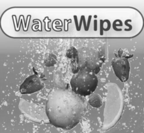 WaterWipes Logo (EUIPO, 06/14/2007)