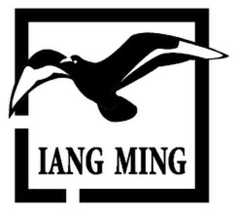 IANG MING Logo (EUIPO, 06.01.2009)