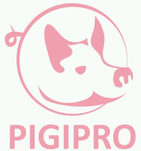 PIGIPRO Logo (EUIPO, 08/07/2017)