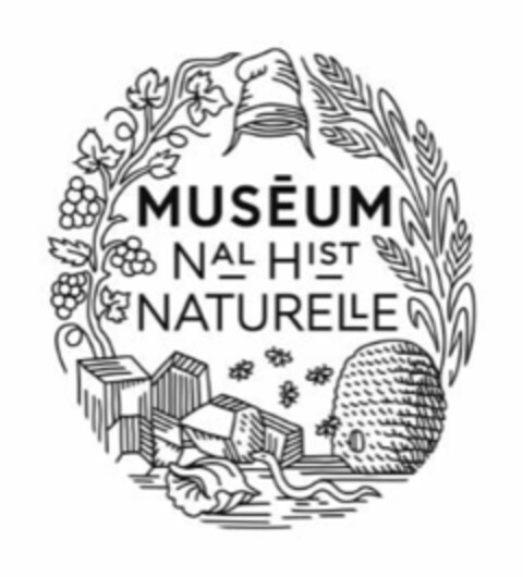 MUSEUM NAL HIST NATURELLE Logo (EUIPO, 26.09.2022)