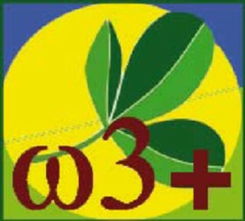 w3+ Logo (EUIPO, 10/15/2007)