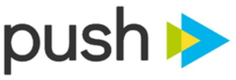 push Logo (EUIPO, 13.03.2020)