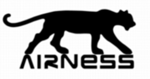 AIRNESS Logo (EUIPO, 17.02.2006)