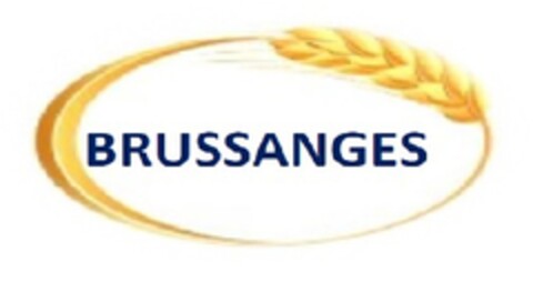 BRUSSANGES Logo (EUIPO, 13.04.2016)