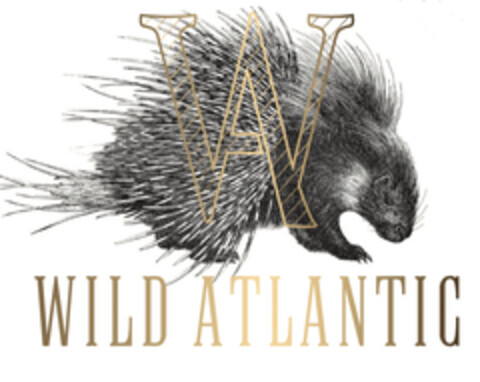 Wild Atlantic Logo (EUIPO, 24.04.2019)
