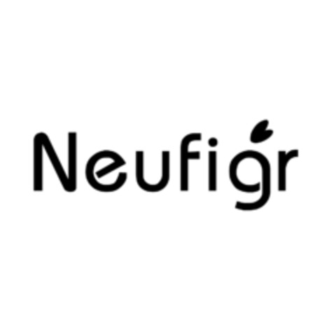 Neufigr Logo (EUIPO, 07.12.2020)