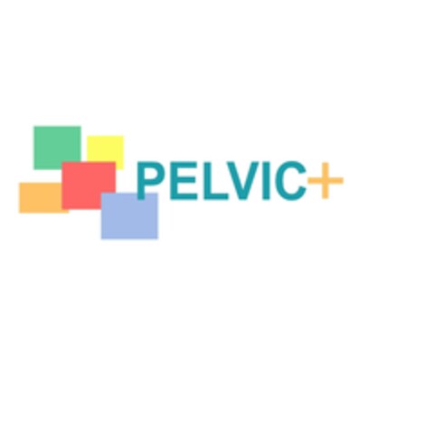 PELVIC+ Logo (EUIPO, 24.10.2023)