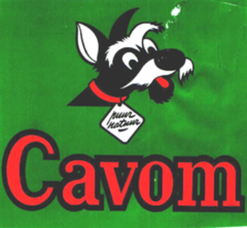 puur natuur Cavom Logo (EUIPO, 04/17/2003)